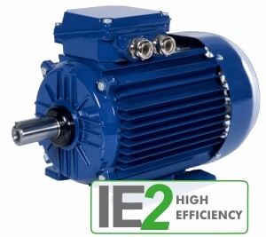 Cantoni Трехфазные двигатели IE2 High Efficiency серия 2SI
