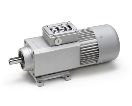 Асинхронный двигатель Mini Motor серии PA