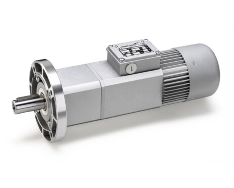 Соосные мотор-редукторы Mini Motor серии PAE