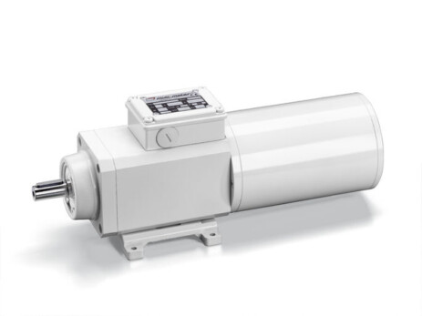 Мотор-редукторы Mini Motor серии PAF
